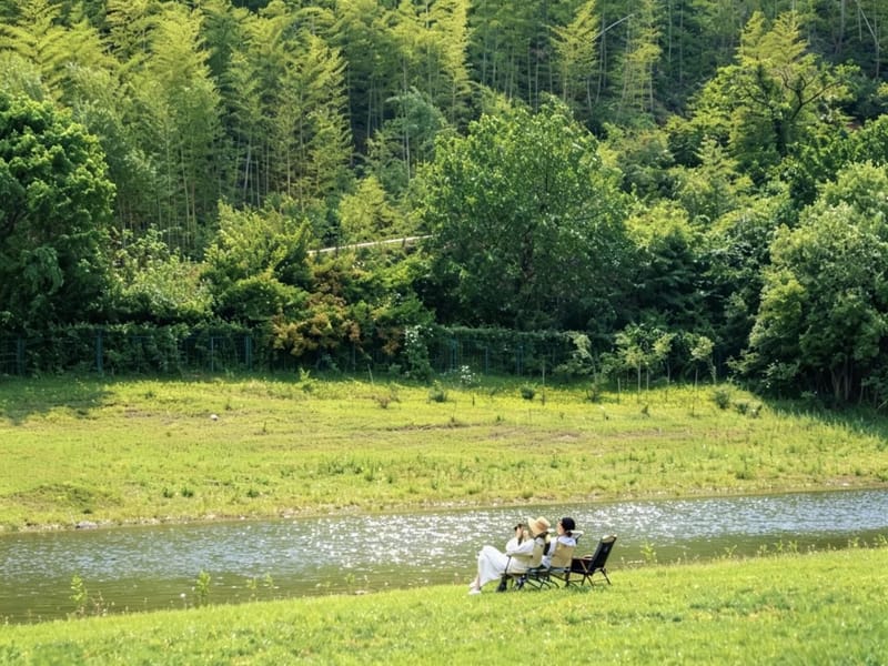 Nanjing: Anji Waterfalls & Bamboo Forest Private Day