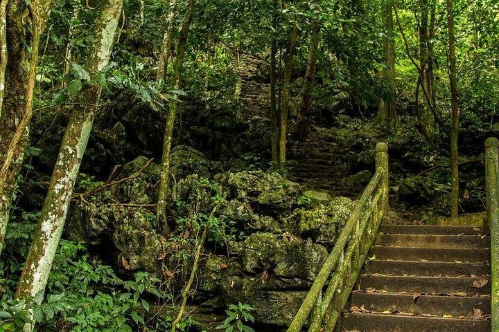 Full-day Cuc Phuong National Park Eco-adventure