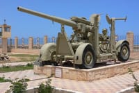 Alexandria : Private El Alamein War Tour from Alexandria 5
