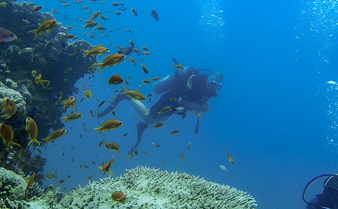 Sharm El Sheikh 8-Day All-Inclusive Resort Stay