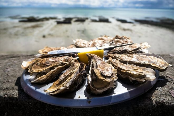 Guided tasting bike ride between Saint-Malo and Cancale 7h photo 5