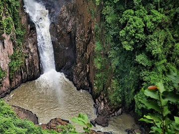 Khao Yai National Park Full-Day Tour from Bangkok