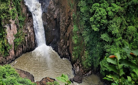 Khao Yai National Park Full-Day Tour from Bangkok