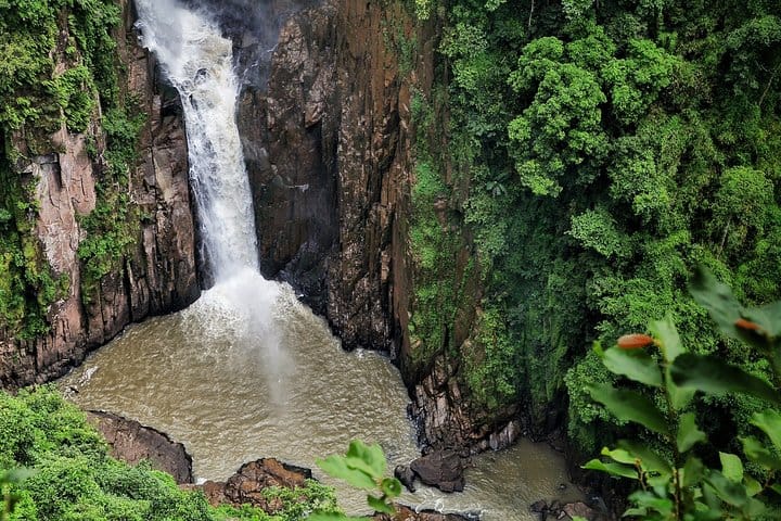UNESCO Khao Yai National Park Adventure: Hiking & Waterfalls 3