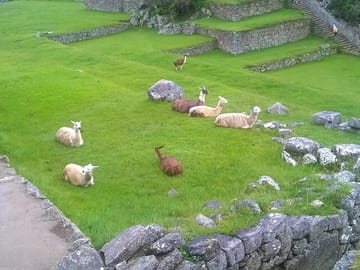 Inca Trail Trek to Machu Picchu: 4-Day Hiking Adventure