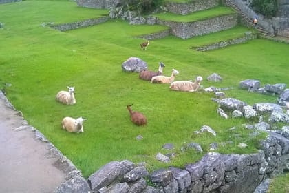 4-day Inca Trail Trek to Machu Picchu