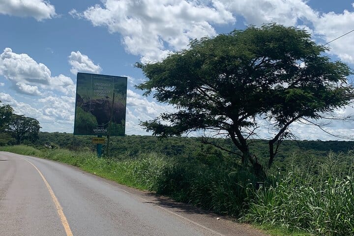 3 Days Queen Elizabeth Wildlife Safari