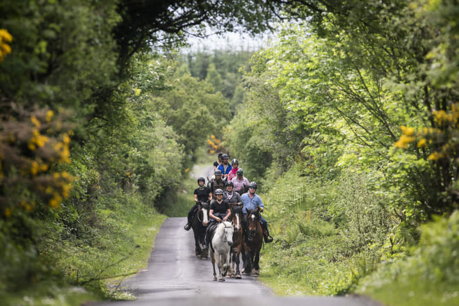 Horse riding in the Burren. Clare. Guided. 3 hours 7