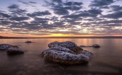 Private Full-Day Desert Castles and Dead Sea Tour from Amman