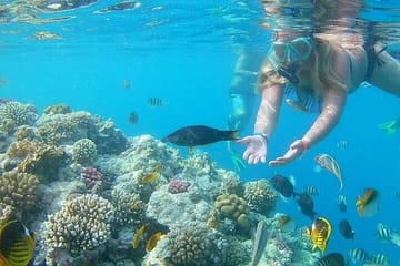 Semi Submarine Underwater Tour in Hurghada, Egypt