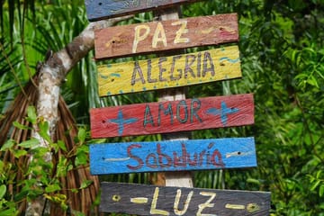 Ayahuasca Healing Retreat in Pucallpa, Peru - 15 Days