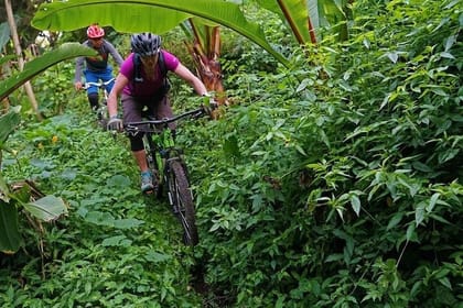 3-Hours Private Mountain Biking in Galle