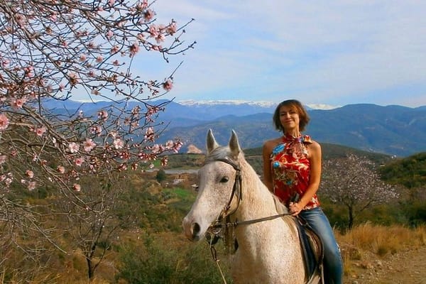Things to do in Alanya