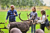 Unique chance to feed the reindeer in the middle of forest