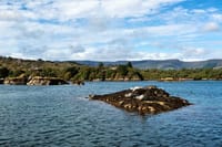 Explore Cape Clear island departing from Schull - Self-guided 10