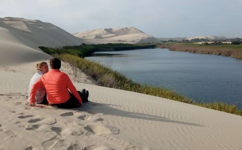 Buggy Rides and Sandboarding Adventure in Paracas, Peru