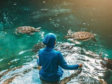 Zanzibar: Nungwi Turtle Aquarium Guided Half-Day Trip