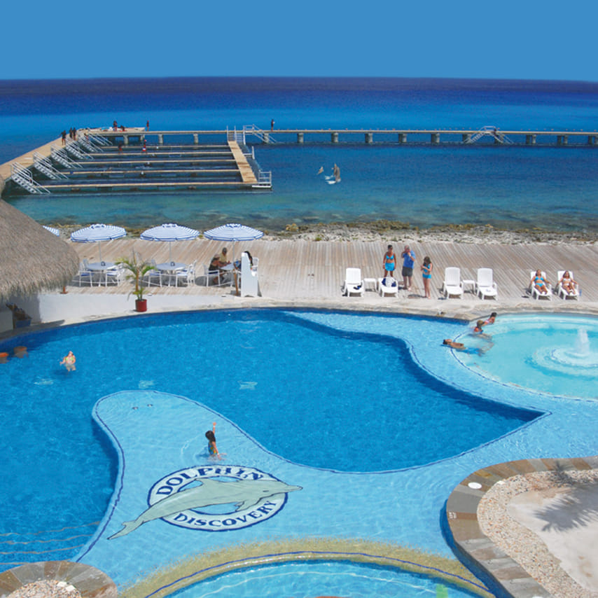 Dolphin Encounter en Cozumel 6