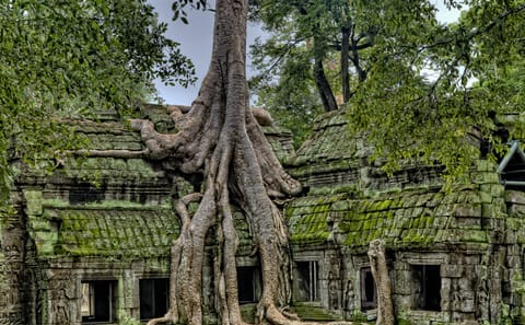 Private Siem Reap 2Days Temple Tour (Temples and Local Culture)