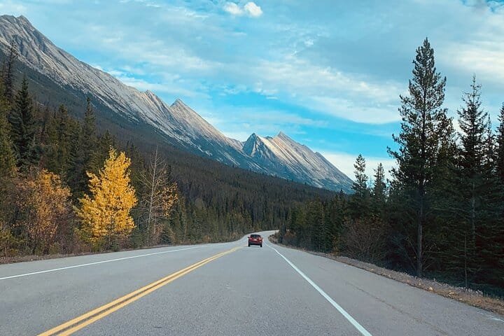 ICE - Full Day Tour in Columbia Icefield, Bow Lake and Peyto Lake
