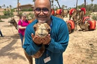 Private Marrakech Day Trip with Camel Ride From Casablanca 6