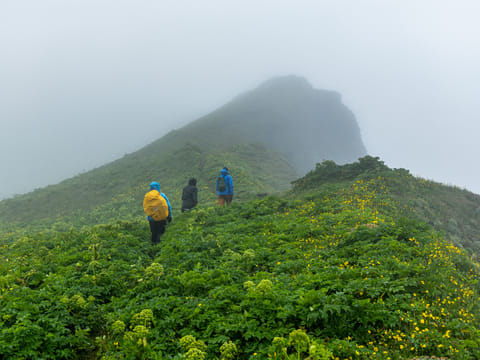 Highlights of Hornvík: A day tour, photo 5