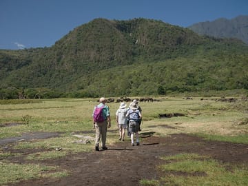 Arusha National Park Day tour