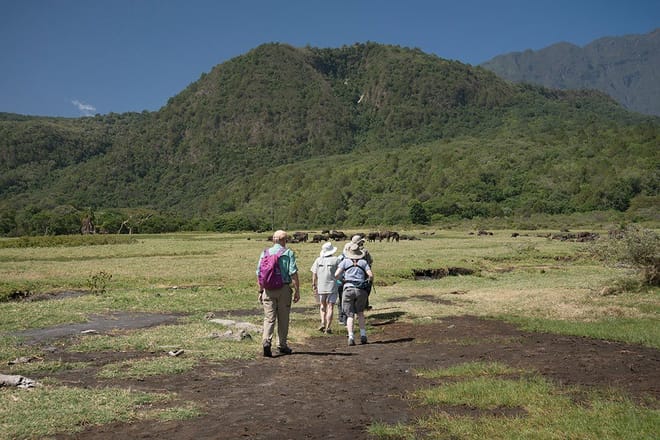Arusha National Park Day tour  2