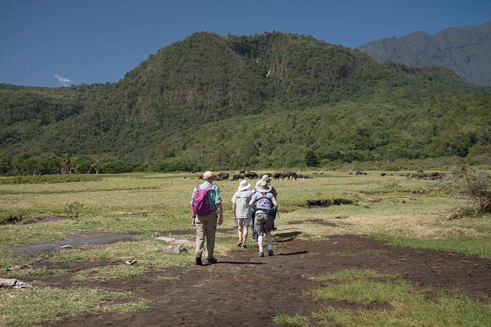 Arusha National Park Day tour  2