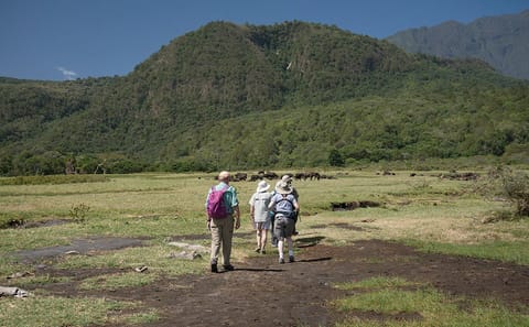 Arusha National Park Day tour