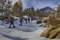 Full Day Pyrenees Snowshoeing Tour 1