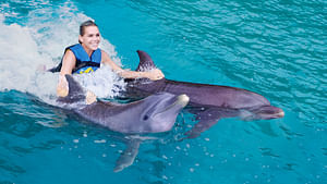 Dolphin Royal Swim + WaterPark in Puerto Vallarta