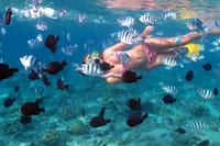 Bali: Blue Lagoon and Tanjung Jepung Snorkeling Tour 7