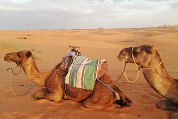 Fes to Merzouga Desert Trip – 2 Days, Camel Ride & Camp