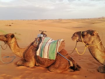 Two-Day Camel Ride and Camp Tour from Fes to Merzouga