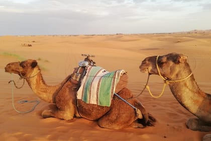 Fes to Merzouga Desert Trip – 2 Days, Camel Ride & Camp