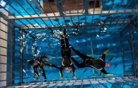 Cage Snorkeling Experience in Dubai's Underwater Aquarium
