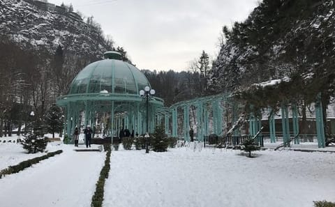 Private Day Trip to Borjomi and Rabati Castle