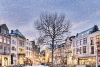 The Hague in 1 Day - Walking Tour - Audioguide in 7 languages 3