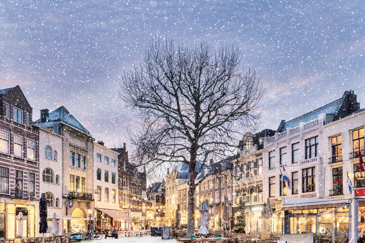The Hague in 1 Day - Walking Tour - Audioguide in 7 languages 3