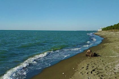 Discover Batumi: Boulevard, Argo & Dendrological Park