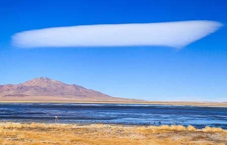 Full day Altiplanic Lagoons + Red stones viewpoint + Salar de Atacama