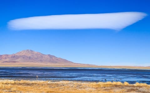 Full Day Tour of Altiplanic Lagoons and Red Stones Viewpoint