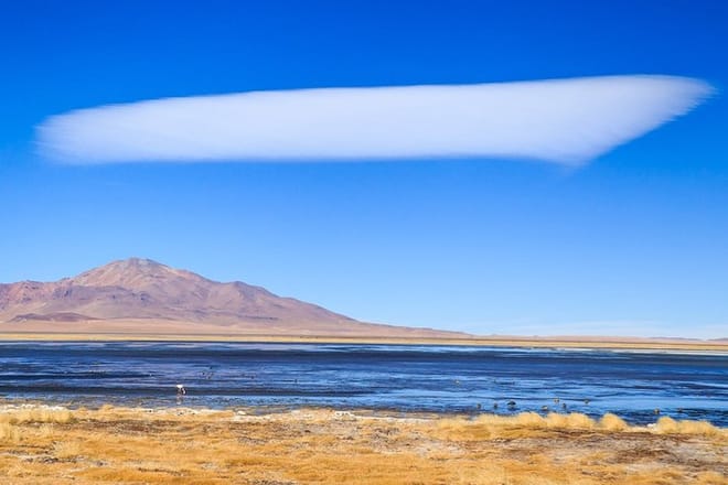 Full day Altiplanic Lagoons + Red stones viewpoint + Salar de Atacama 2