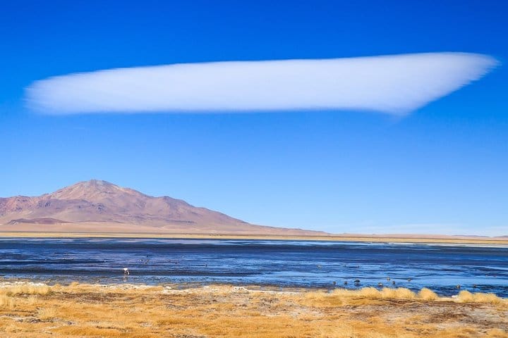 Full day Altiplanic Lagoons + Red stones viewpoint + Salar de Atacama 2