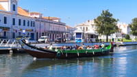 Private car transfer from Porto to Aveiro 1