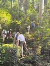 Jungle Trekking Tour at Phnom Kulen National Park from Siem Reap 2