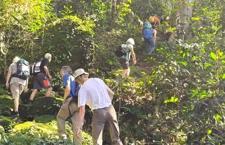 Jungle Trekking Adventure in Phnom Kulen National Park