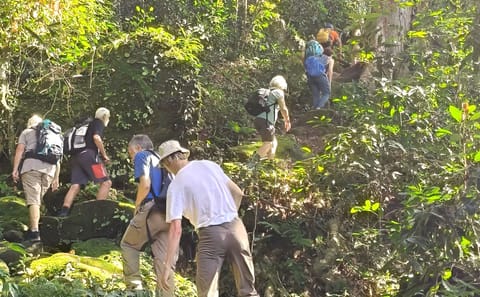 Jungle Trekking Adventure in Phnom Kulen National Park