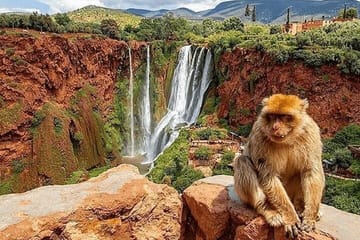 Guided Small Group Tour to Ouzoud Waterfalls from Marrakech